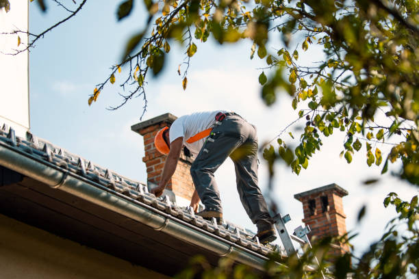 Roof Gutter Cleaning in Goose Creek Village, VA